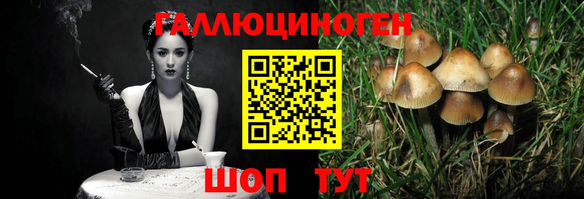 Саров  Псилоцибиновые грибы Cubensis  купить наркотик  Вход с VPN 